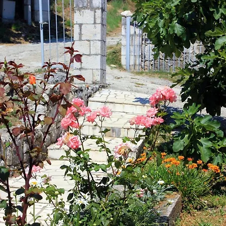 By The Sea Sladjenovici, Dubrovnik - 2161